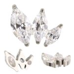Titanium 3 Prong Set Marquise CZ Arrange By Size Internally Threaded Top
